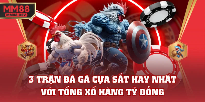 3 Trận Đá Gà Cựa Sắt Hay Nhất Với Tổng Xổ Hàng Tỷ Đồng 1 3 Trận Đá Gà Cựa Sắt Hay Nhất Với Tổng Xổ Hàng Tỷ Đồng