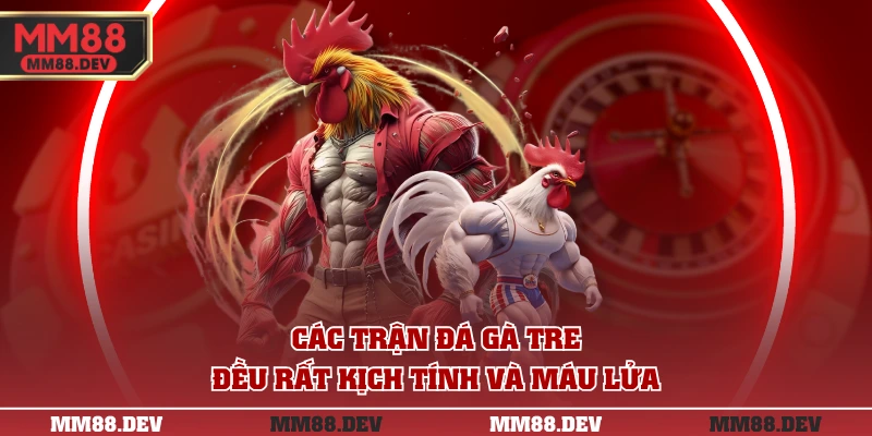 Đá Gà Tre | Kinh Nghiệm Chọn Kê Bất Bại Như Cao Thủ 2 Các trận đá gà tre đều rất kịch tính và máu lửa