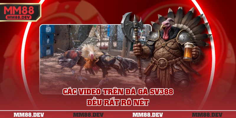 Trực Tiếp Đá Gà SV388 Chất Lượng Cao Cược Nhanh Chóng 3 Các video trên đá gà SV388 đều rất rõ nét