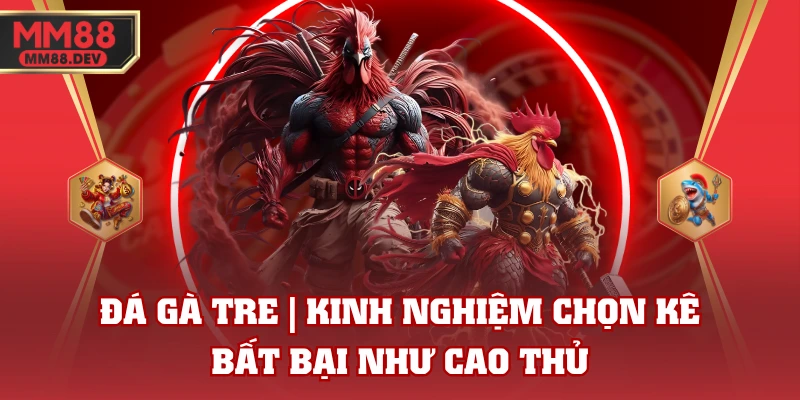 Đá Gà Tre | Kinh Nghiệm Chọn Kê Bất Bại Như Cao Thủ 1 Đá Gà Tre | Kinh Nghiệm Chọn Kê Bất Bại Như Cao Thủ