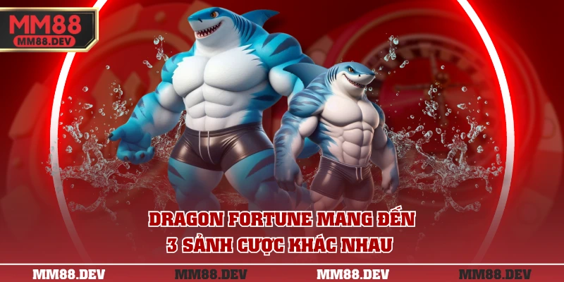 Top 3 Game Bắn Cá Xèng Đổi Thưởng Hot Nhất Tại MM88 3 Dragon Fortune mang đến 3 sảnh cược khác nhau