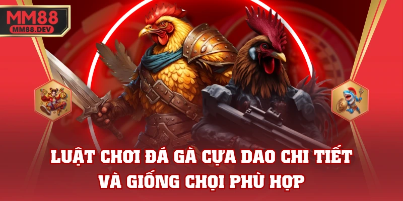 Luật Chơi Đá Gà Cựa Dao Chi Tiết Và Giống Chọi Phù Hợp 1 Luật Chơi Đá Gà Cựa Dao Chi Tiết Và Giống Chọi Phù Hợp