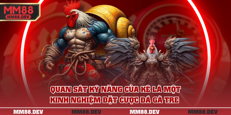 Đá Gà Tre | Kinh Nghiệm Chọn Kê Bất Bại Như Cao Thủ 4 Quan sát kỹ năng của kê là một kinh nghiệm đặt cược đá gà tre