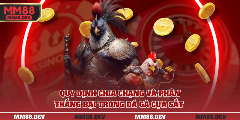 3 Trận Đá Gà Cựa Sắt Hay Nhất Với Tổng Xổ Hàng Tỷ Đồng 3 Quy định chia chạng và phân thắng bại trong đá gà cựa sắt