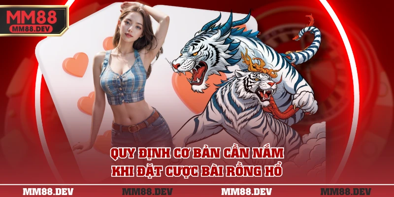 Bài Rồng Hổ - Tổng Hợp Quy Định Và Luật Chơi Từ A - Z 3 Quy định cơ bản cần nắm khi đặt cược bài Rồng Hổ