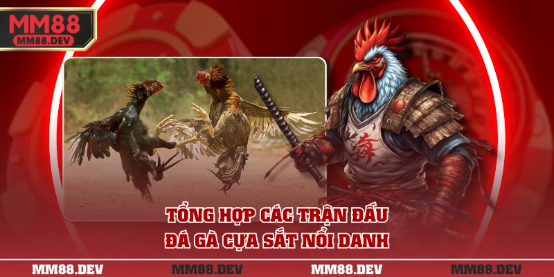 3 Trận Đá Gà Cựa Sắt Hay Nhất Với Tổng Xổ Hàng Tỷ Đồng 4 Tổng hợp các trận đấu đá gà cựa sắt nổi danh