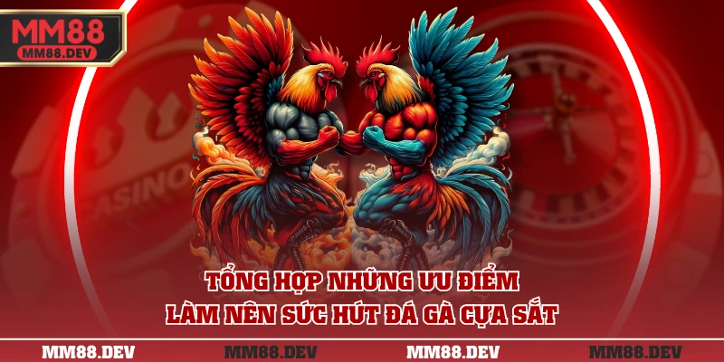3 Trận Đá Gà Cựa Sắt Hay Nhất Với Tổng Xổ Hàng Tỷ Đồng 2 Tổng hợp những ưu điểm làm nên sức hút đá gà cựa sắt