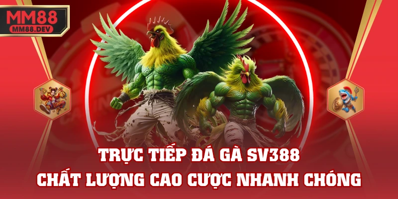 Trực Tiếp Đá Gà SV388 Chất Lượng Cao Cược Nhanh Chóng 1 Trực Tiếp Đá Gà SV388 Chất Lượng Cao Cược Nhanh Chóng